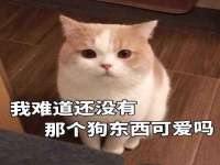 无锡莱德牧机械有限公司