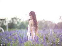 无锡莱德牧机械有限公司
