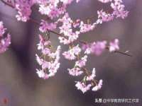无锡莱德牧机械有限公司