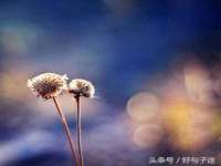 无锡莱德牧机械有限公司