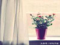 无锡莱德牧机械有限公司