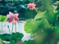 无锡莱德牧机械有限公司