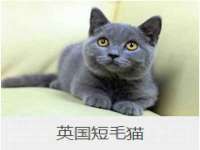 无锡莱德牧机械有限公司