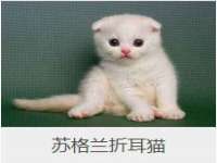 无锡莱德牧机械有限公司