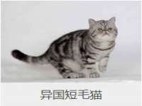 无锡莱德牧机械有限公司