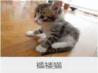 无锡莱德牧机械有限公司