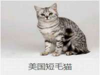 无锡莱德牧机械有限公司
