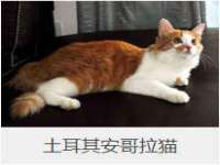 无锡莱德牧机械有限公司
