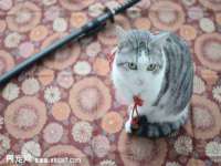 无锡莱德牧机械有限公司
