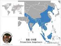 无锡莱德牧机械有限公司