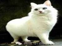 无锡莱德牧机械有限公司