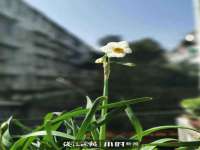 无锡莱德牧机械有限公司