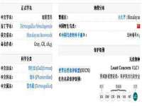 无锡莱德牧机械有限公司
