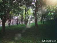 无锡莱德牧机械有限公司