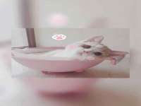 无锡莱德牧机械有限公司