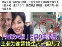 无锡莱德牧机械有限公司