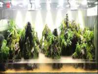 无锡莱德牧机械有限公司