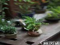 无锡莱德牧机械有限公司