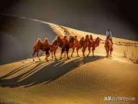 无锡莱德牧机械有限公司