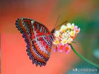 无锡莱德牧机械有限公司
