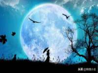 无锡莱德牧机械有限公司
