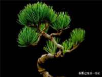 无锡莱德牧机械有限公司