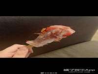 无锡莱德牧机械有限公司